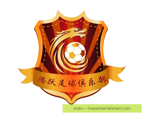 丹东腾跃未能通过足协新赛季准入审核正式宣布解散 面临职业足球历史性转折